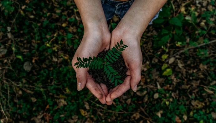 Mão unidas a suportar a raíz de uma planta