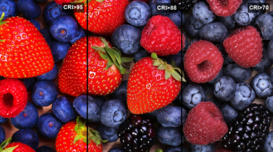 Imagem com frutos vermelhos representativo da importância do CRI